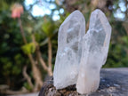 Natural Clear Quartz Crystals x 35 From Madagascar - Toprock Gemstones and Minerals 