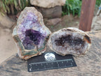Natural Amethyst Agate Geodes x 4 From Zululand, South Africa - Toprock Gemstones and Minerals 