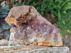 Natural Amethyst Agate Geodes x 4 From Zululand, South Africa - Toprock Gemstones and Minerals 