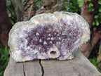 Natural Amethyst Agate Geodes x 4 From Zululand, South Africa - Toprock Gemstones and Minerals 