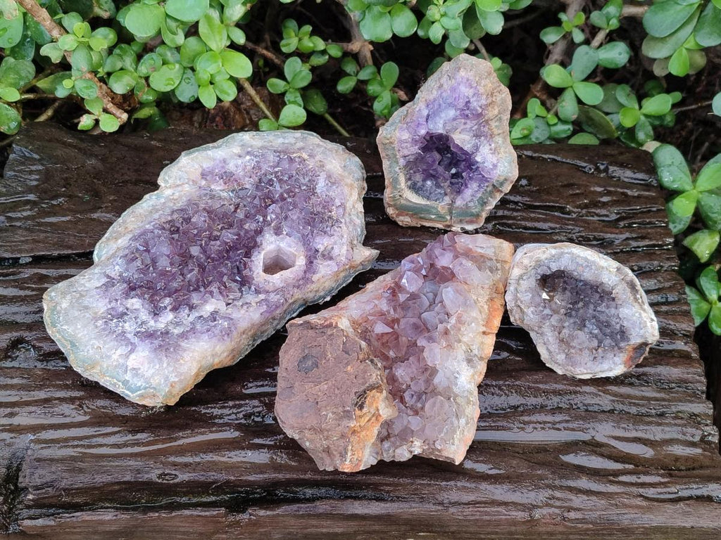 Natural Amethyst Agate Geodes x 4 From Zululand, South Africa - Toprock Gemstones and Minerals 