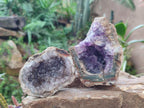 Natural Amethyst Agate Geodes x 4 From Zululand, South Africa - Toprock Gemstones and Minerals 