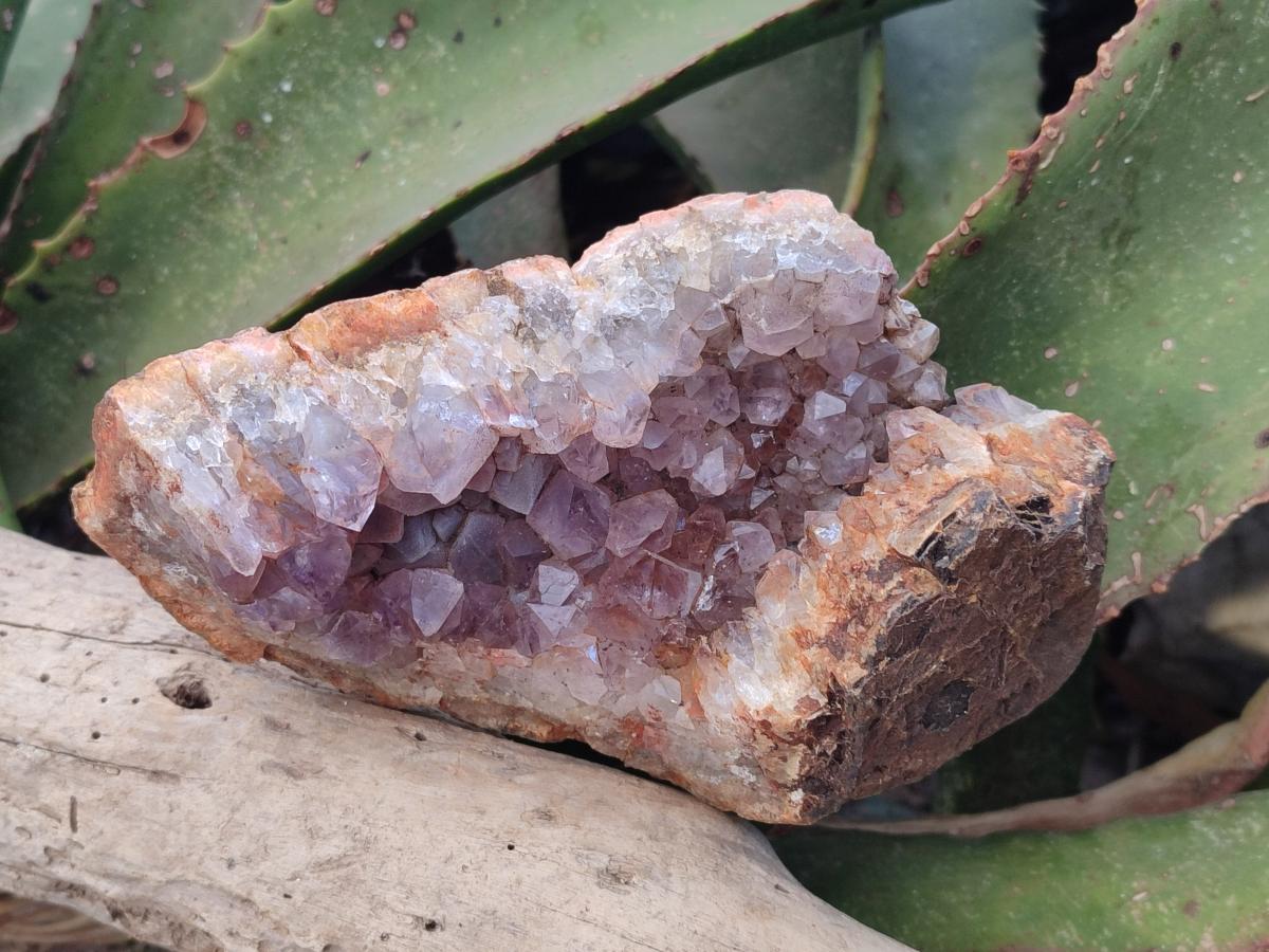 Natural Amethyst Agate Geodes x 4 From Zululand, South Africa - Toprock Gemstones and Minerals 