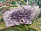 Natural Amethyst Agate Geodes x 4 From Zululand, South Africa - Toprock Gemstones and Minerals 