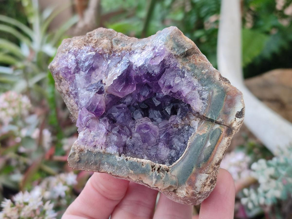 Natural Amethyst Agate Geodes x 4 From Zululand, South Africa - Toprock Gemstones and Minerals 