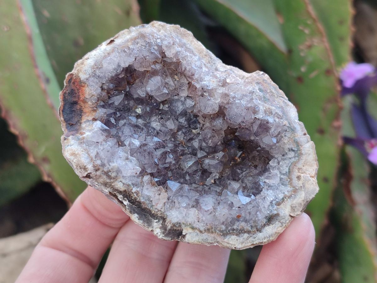 Natural Amethyst Agate Geodes x 4 From Zululand, South Africa - Toprock Gemstones and Minerals 