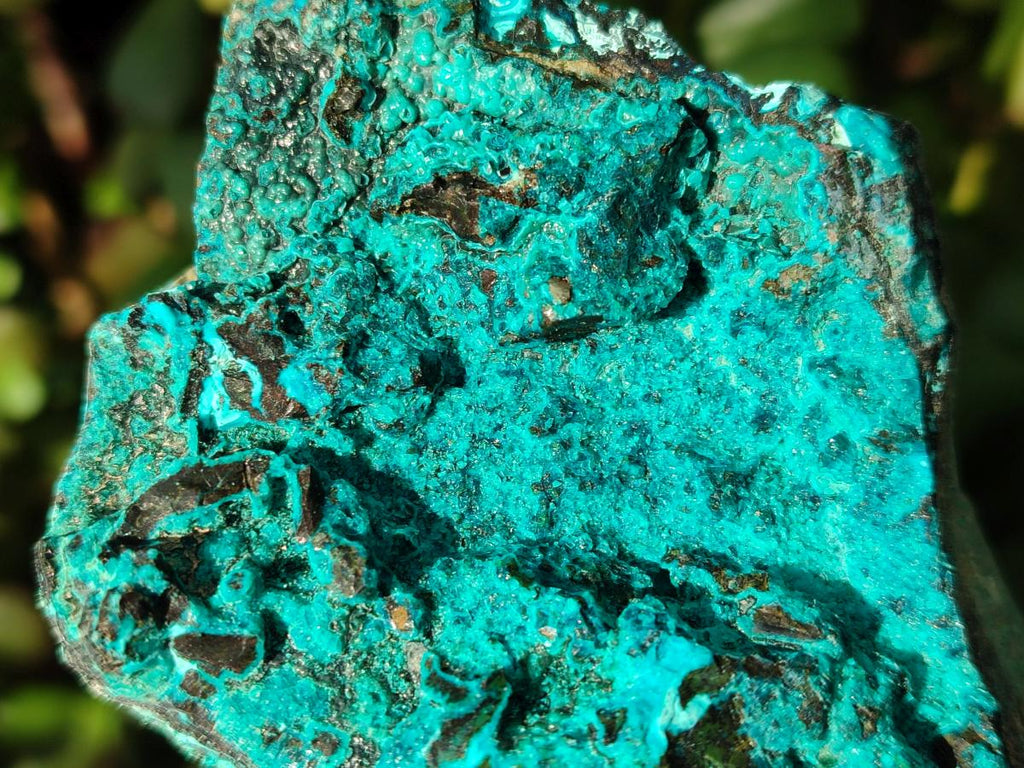 Natural Bright Blue Silica Chrysocolla Specimens x 8 From Kulukuluku, Congo - Toprock Gemstones and Minerals 