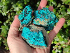 Natural Bright Blue Silica Chrysocolla Specimens x 8 From Kulukuluku, Congo - Toprock Gemstones and Minerals 