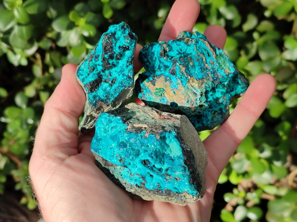 Natural Bright Blue Silica Chrysocolla Specimens x 8 From Kulukuluku, Congo - Toprock Gemstones and Minerals 