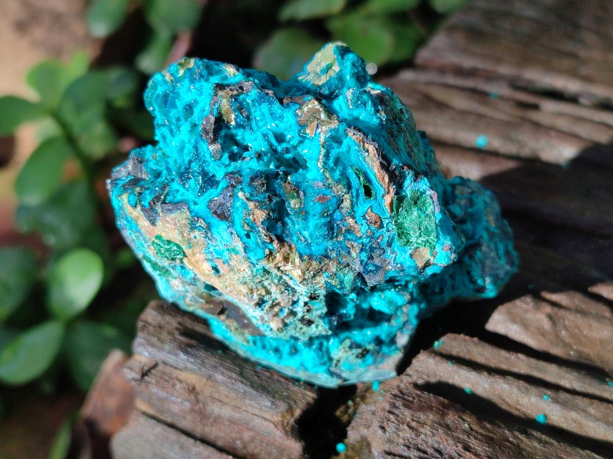Natural Bright Blue Silica Chrysocolla Specimens x 8 From Kulukuluku, Congo - Toprock Gemstones and Minerals 