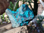 Natural Bright Blue Silica Chrysocolla Specimens x 8 From Kulukuluku, Congo - Toprock Gemstones and Minerals 