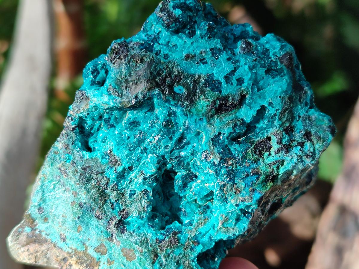 Natural Bright Blue Silica Chrysocolla Specimens x 8 From Kulukuluku, Congo - Toprock Gemstones and Minerals 