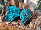 Natural Bright Blue Silica Chrysocolla Specimens x 8 From Kulukuluku, Congo - Toprock Gemstones and Minerals 