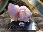 Natural Cactus Flower Spirit Amethyst Clusters x 2 From South Africa - Toprock Gemstones and Minerals 