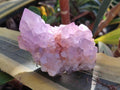Natural Cactus Flower Spirit Amethyst Clusters x 2 From South Africa - Toprock Gemstones and Minerals 