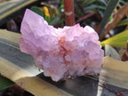 Natural Cactus Flower Spirit Amethyst Clusters x 2 From South Africa - Toprock Gemstones and Minerals 