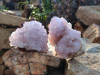Natural Cactus Flower Spirit Amethyst Clusters x 2 From South Africa - Toprock Gemstones and Minerals 