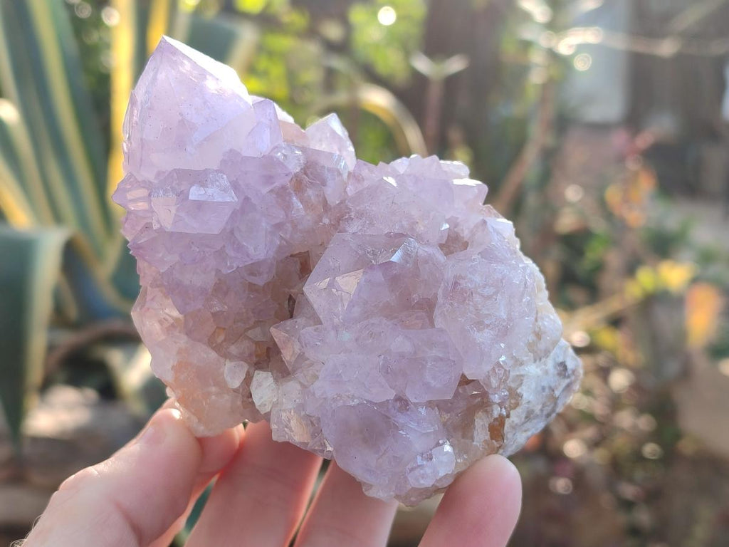 Natural Cactus Flower Spirit Amethyst Clusters x 2 From South Africa - Toprock Gemstones and Minerals 