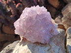 Natural Cactus Flower Spirit Amethyst Clusters x 2 From South Africa - Toprock Gemstones and Minerals 