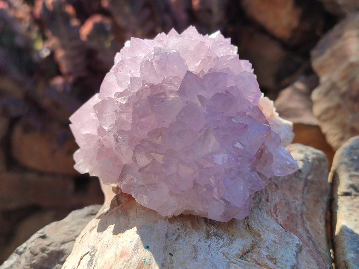 Natural Cactus Flower Spirit Amethyst Clusters x 2 From South Africa - Toprock Gemstones and Minerals 