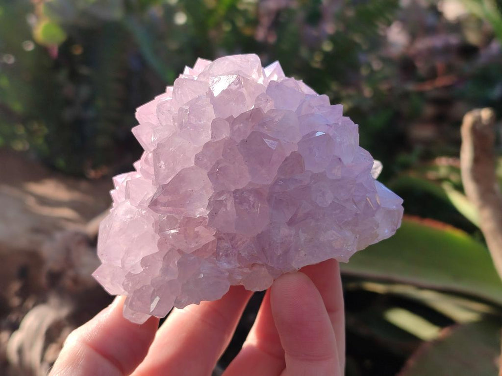 Natural Cactus Flower Spirit Amethyst Clusters x 2 From South Africa - Toprock Gemstones and Minerals 