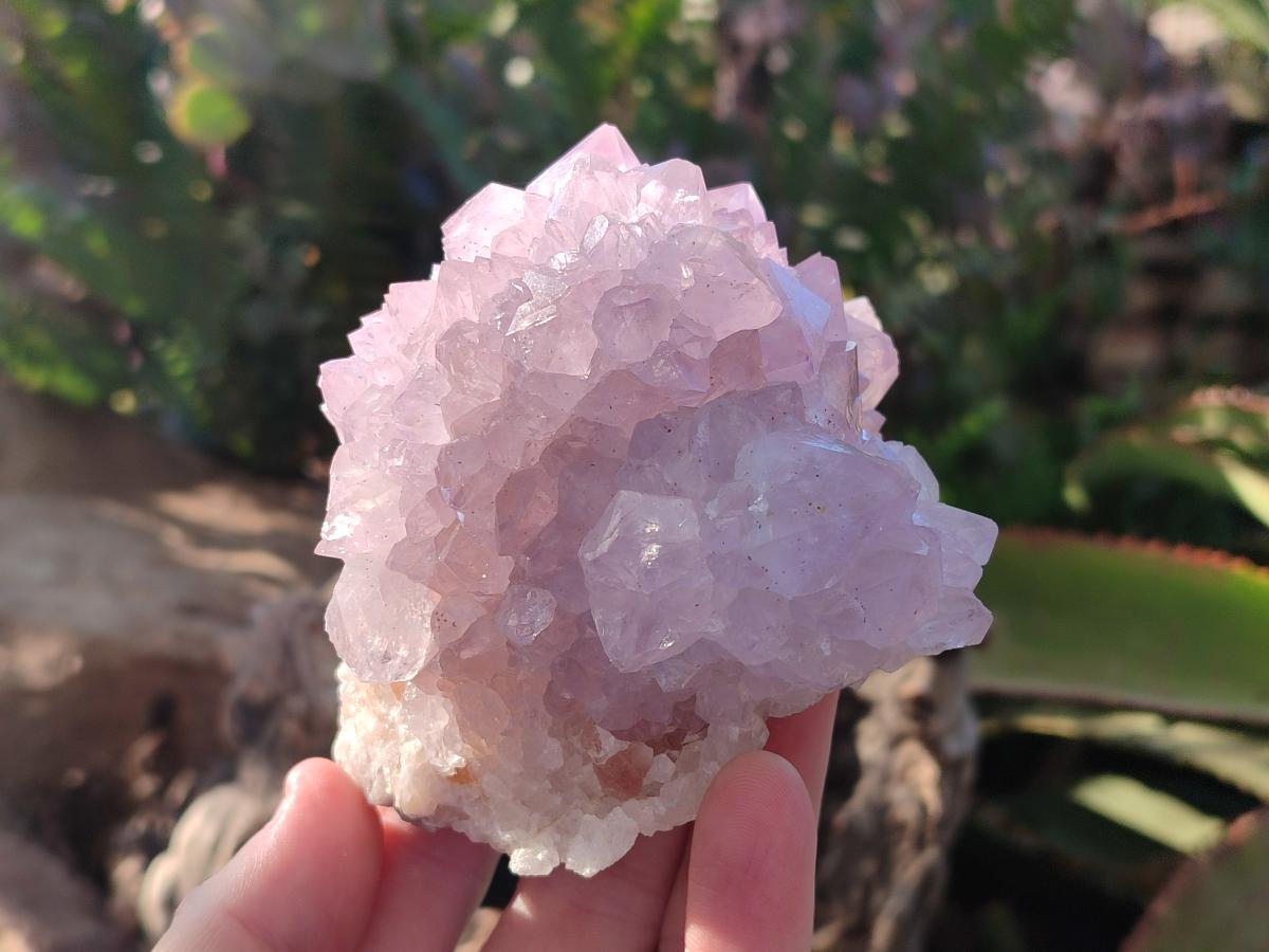 Natural Cactus Flower Spirit Amethyst Clusters x 2 From South Africa - Toprock Gemstones and Minerals 