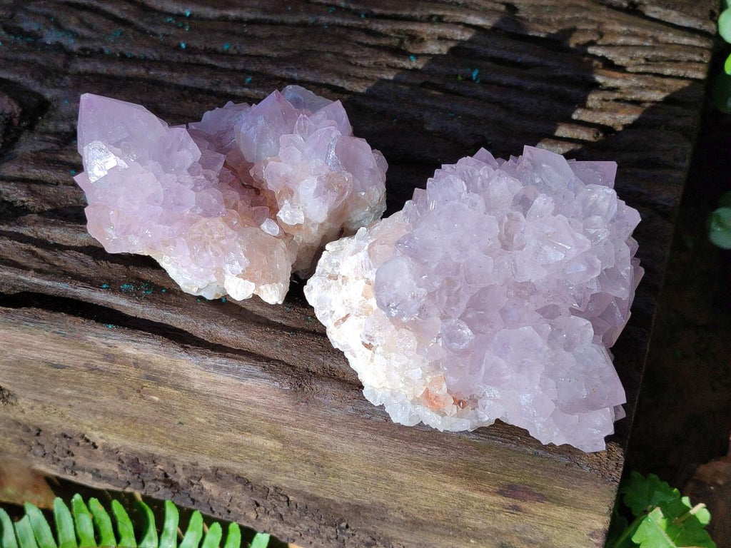 Natural Cactus Flower Spirit Amethyst Clusters x 2 From South Africa - Toprock Gemstones and Minerals 