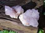 Natural Cactus Flower Spirit Amethyst Clusters x 2 From South Africa - Toprock Gemstones and Minerals 