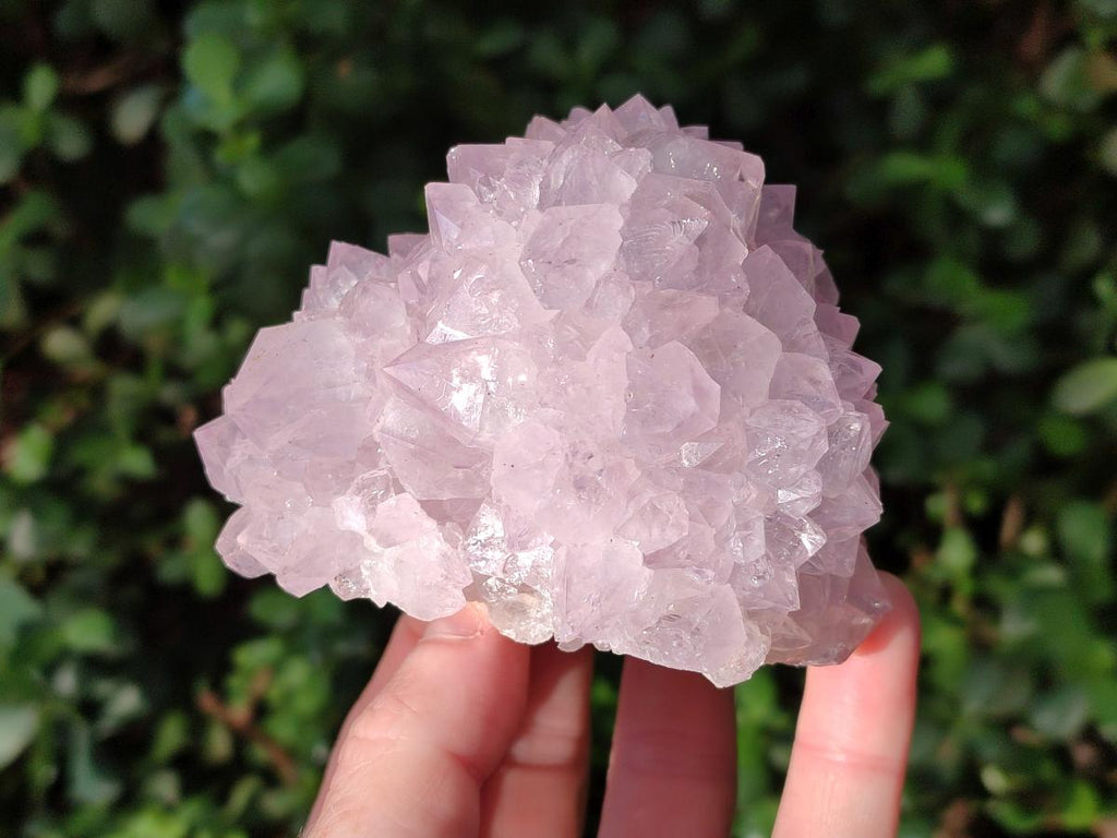 Natural Cactus Flower Spirit Amethyst Clusters x 2 From South Africa - Toprock Gemstones and Minerals 