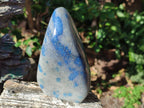 Polished Blue Spotted Spinel in Quartz Standing Display Pieces x 2 From Madagascar - Toprock Gemstones and Minerals 