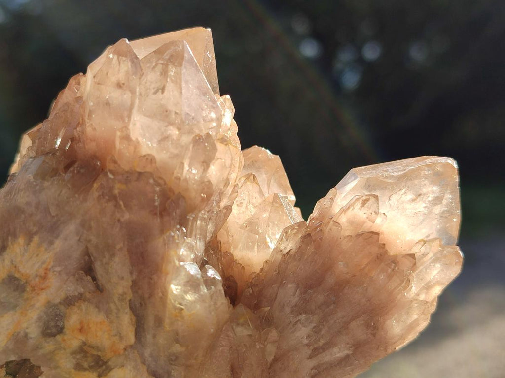 Natural Cascading White Phantom Smokey Luena Quartz Clusters x 4 From Luena, Congo - Toprock Gemstones and Minerals 