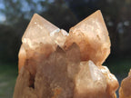 Natural Cascading White Phantom Smokey Luena Quartz Clusters x 4 From Luena, Congo - Toprock Gemstones and Minerals 