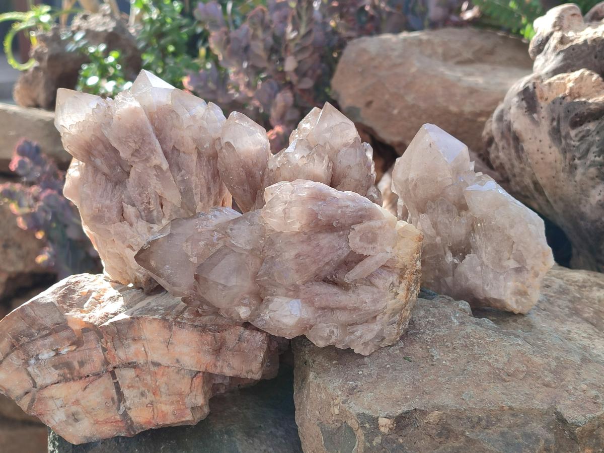 Natural Cascading White Phantom Smokey Luena Quartz Clusters x 4 From Luena, Congo - Toprock Gemstones and Minerals 
