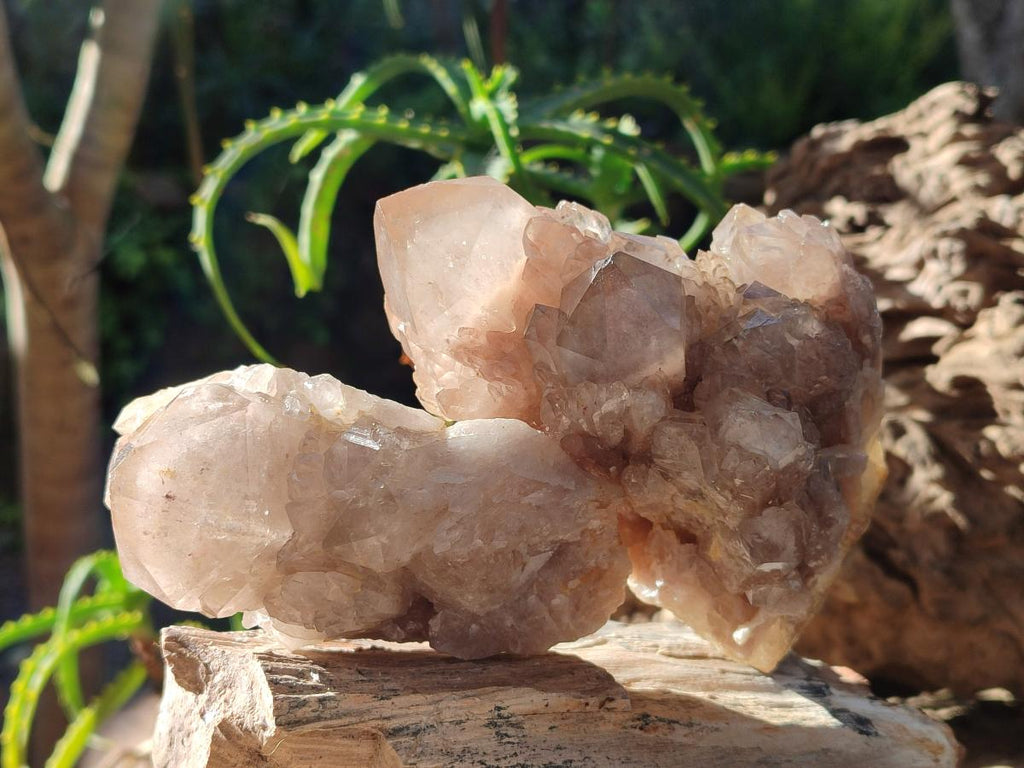 Natural Cascading White Phantom Smokey Luena Quartz Clusters x 4 From Luena, Congo - Toprock Gemstones and Minerals 