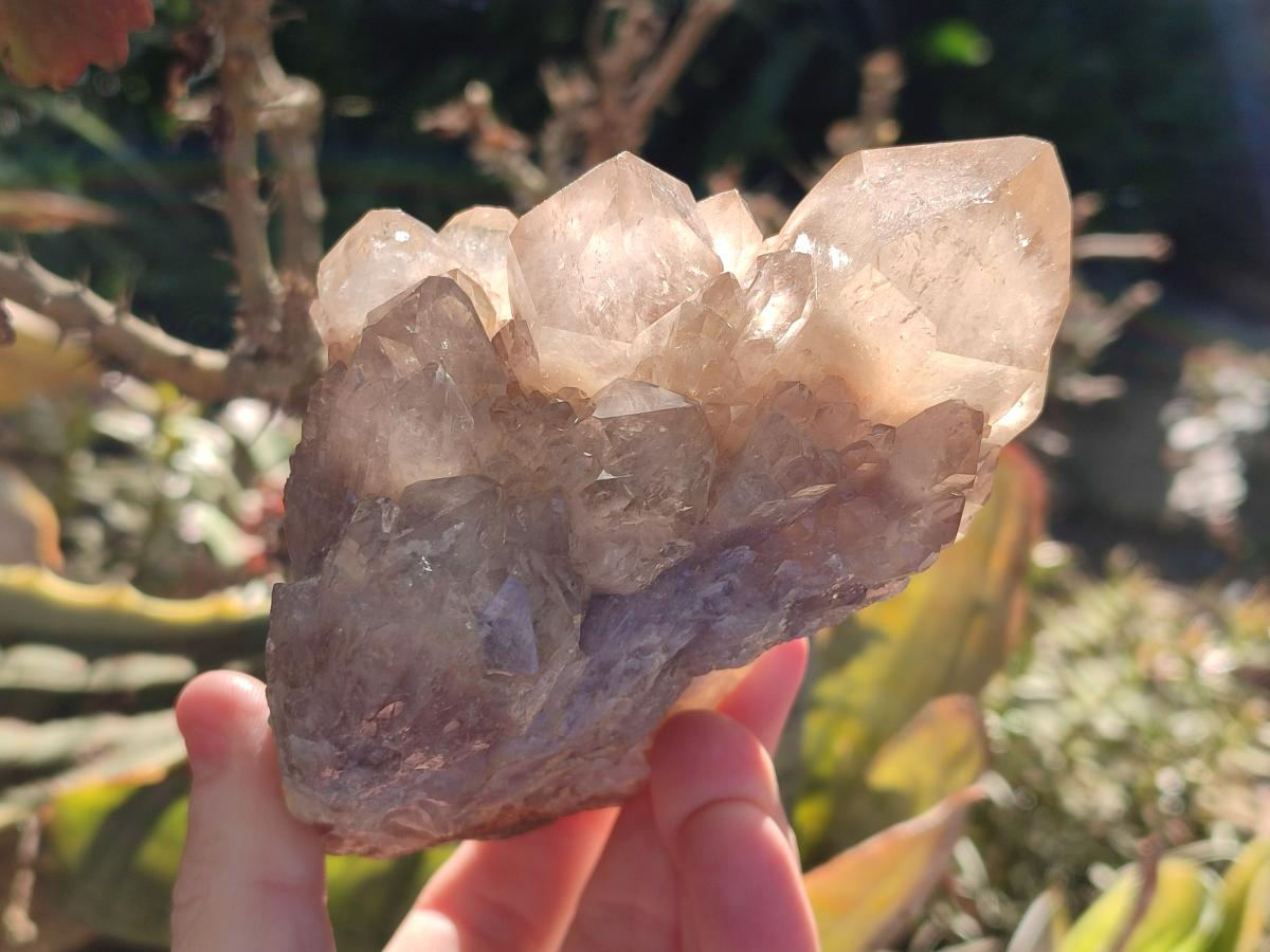 Natural Cascading White Phantom Smokey Luena Quartz Clusters x 4 From Luena, Congo - Toprock Gemstones and Minerals 