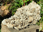 Natural XL Drusy Quartz Coated Black Tipped Calcite Pseudomorph Specimen x 1 From Albert's Mountain, Lesotho - Toprock Gemstones and Minerals 