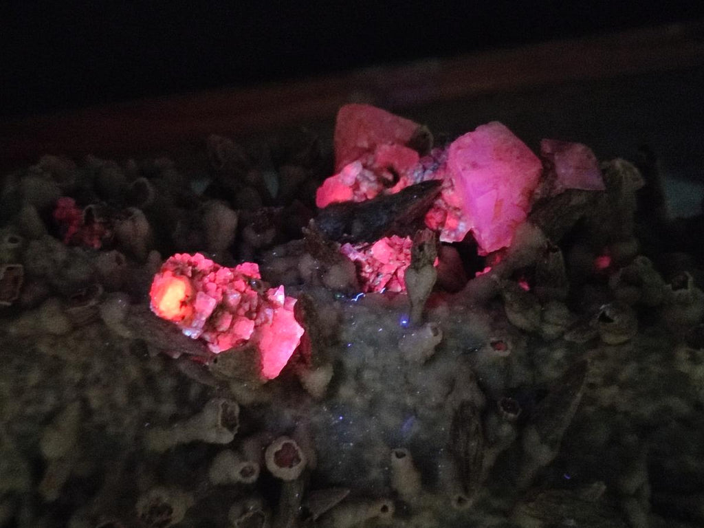 Natural XL Drusy Quartz Coated Black Tipped Calcite Pseudomorph Specimen x 1 From Albert's Mountain, Lesotho - Toprock Gemstones and Minerals 