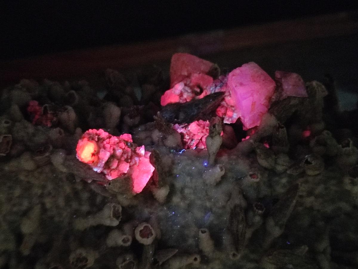 Natural XL Drusy Quartz Coated Black Tipped Calcite Pseudomorph Specimen x 1 From Albert's Mountain, Lesotho - Toprock Gemstones and Minerals 