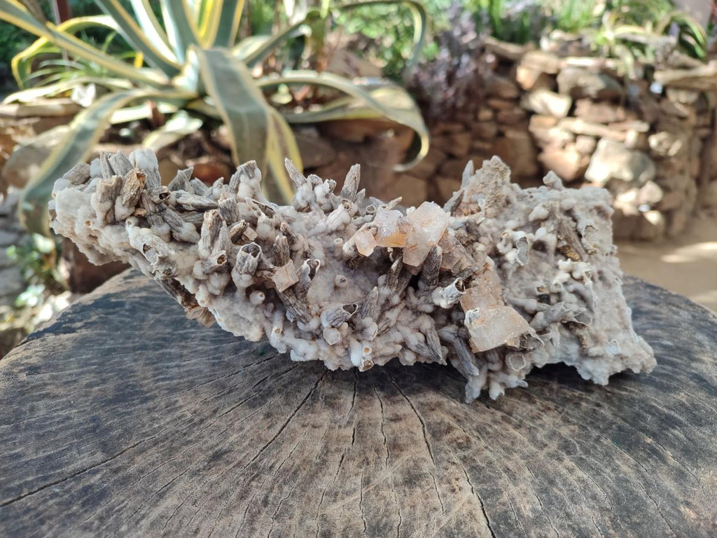 Natural XL Drusy Quartz Coated Black Tipped Calcite Pseudomorph Specimen x 1 From Albert's Mountain, Lesotho - Toprock Gemstones and Minerals 