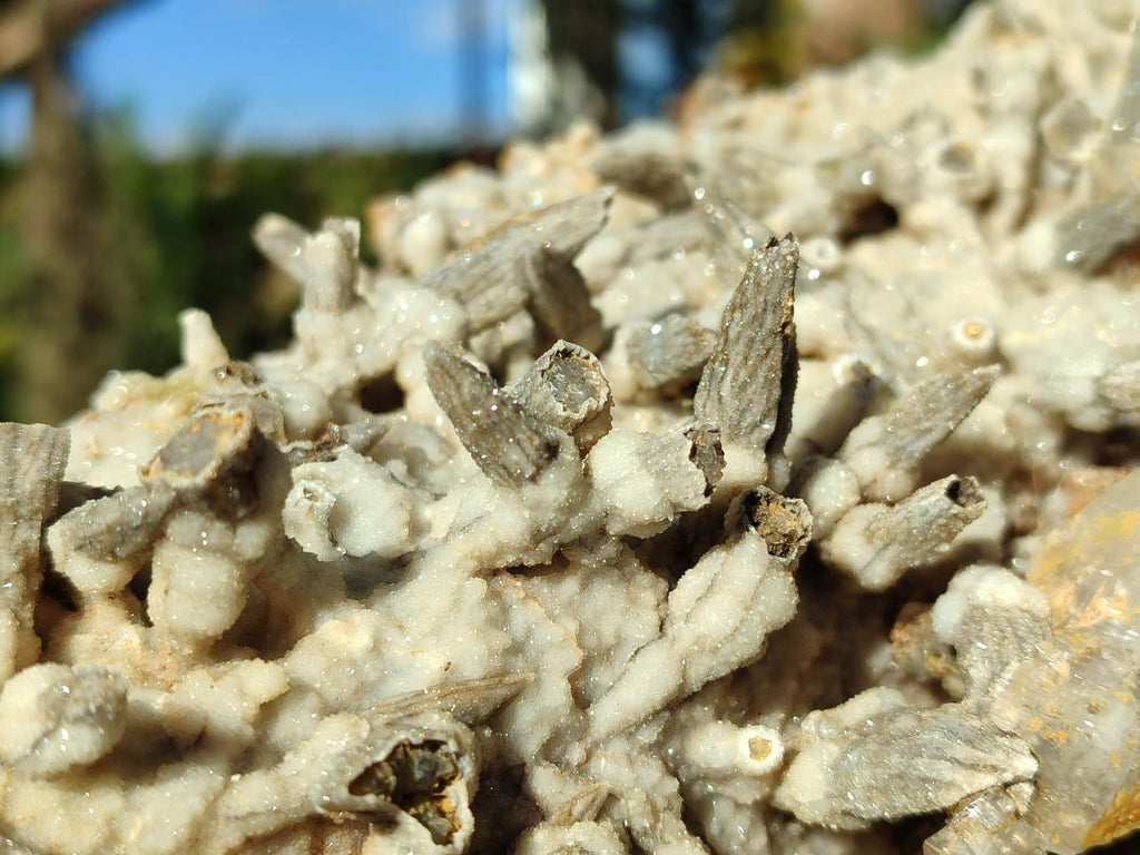 Natural XL Drusy Quartz Coated Black Tipped Calcite Pseudomorph Specimen x 1 From Albert's Mountain, Lesotho - Toprock Gemstones and Minerals 