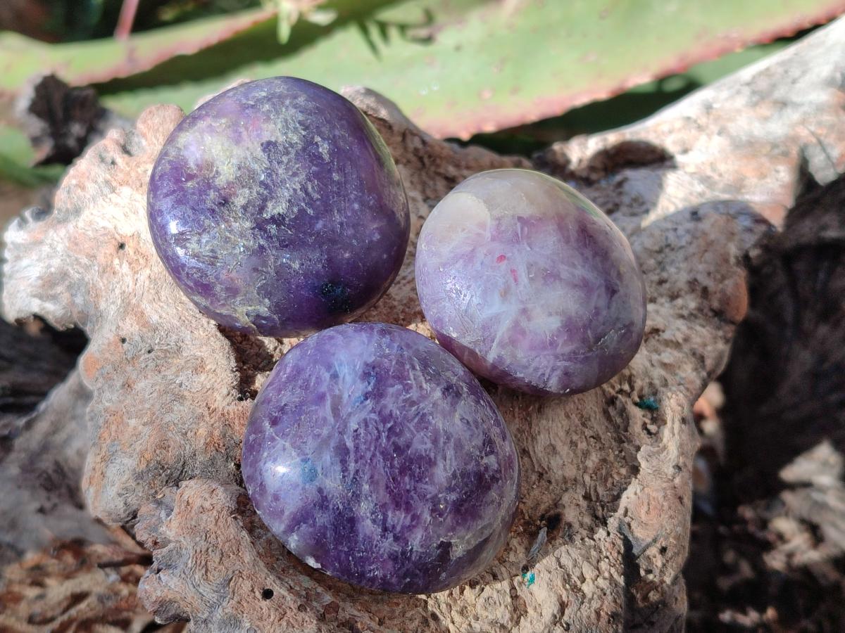 Polished Lepidolite Galets x 24 From Ambatondrazaka, Madagascar - Toprock Gemstones and Minerals 