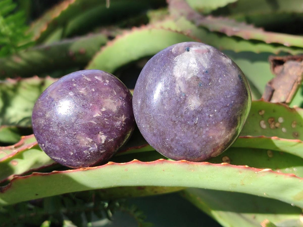 Polished Lepidolite Galets x 24 From Ambatondrazaka, Madagascar - Toprock Gemstones and Minerals 