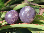 Polished Lepidolite Galets x 24 From Ambatondrazaka, Madagascar - Toprock Gemstones and Minerals 