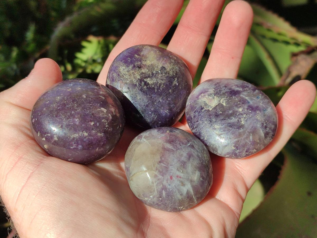 Polished Lepidolite Galets x 24 From Ambatondrazaka, Madagascar - Toprock Gemstones and Minerals 