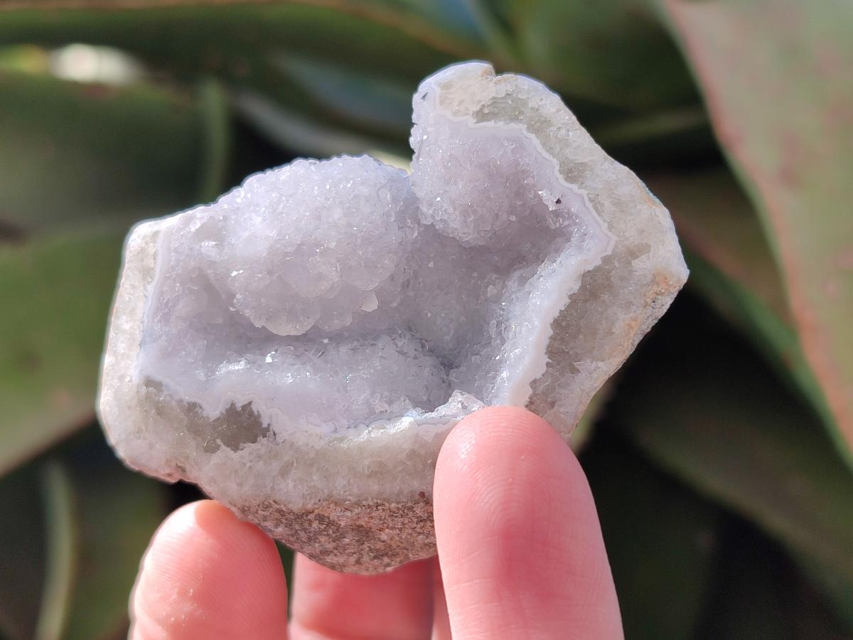 Polished On One Side Blue Lace Agate Geodes x 24 From Nsanje, Malawi - Toprock Gemstones and Minerals 