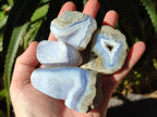 Polished On One Side Blue Lace Agate Geodes x 24 From Nsanje, Malawi - Toprock Gemstones and Minerals 