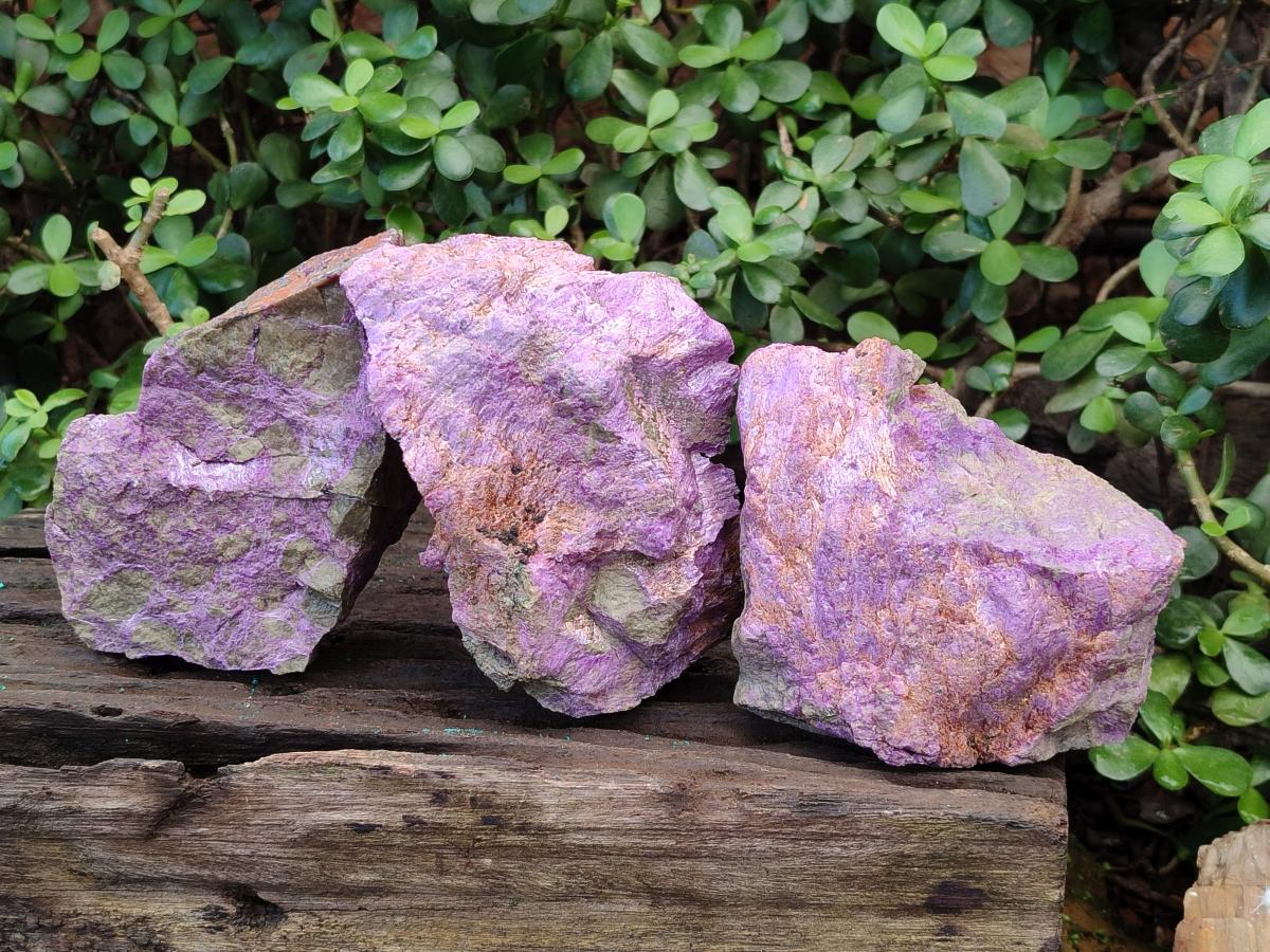 Natural Cobbed Stichtite Specimens x 3 From Barberton, South Africa - Toprock Gemstones and Minerals 