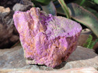 Natural Cobbed Stichtite Specimens x 3 From Barberton, South Africa - Toprock Gemstones and Minerals 