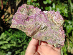 Natural Cobbed Stichtite Specimens x 3 From Barberton, South Africa - Toprock Gemstones and Minerals 