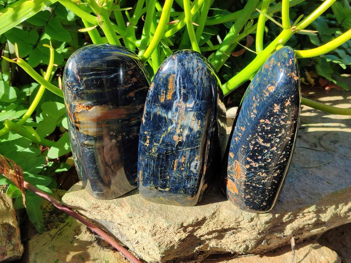 Polished Nellite Tigers Eye Standing Display Pieces x 3 From Prieska, South Africa - Toprock Gemstones and Minerals 